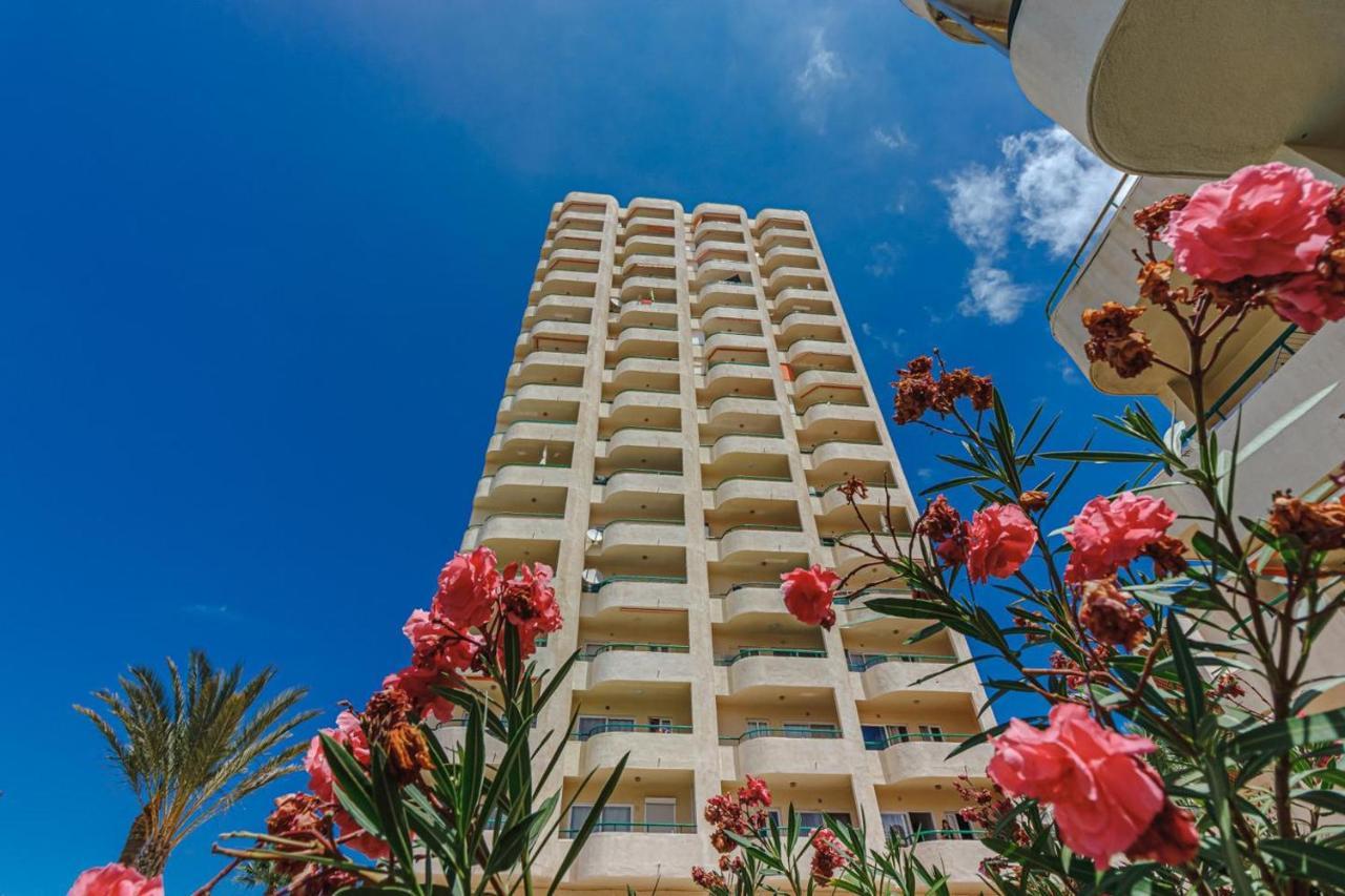 Ferienwohnung Oasis Los Cristianos  Exterior foto